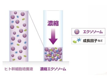 シーベル 代官山/商材/ハーブピーリング