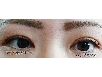 レインボー(Rainbow)の写真