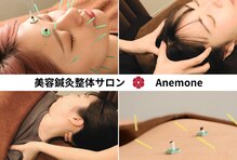 アネモネ 心斎橋院