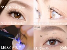 ノーブル(Noble)の雰囲気（LEDエクステ・フラットラッシュ・LD/LCカール・アンドヘルシー）