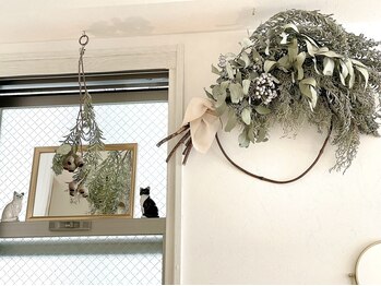 リアン ラッシュリフト(Lien LASHLIFT)/2匹のネコちゃんがお出迎え♪♪