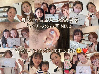 宿り木の写真