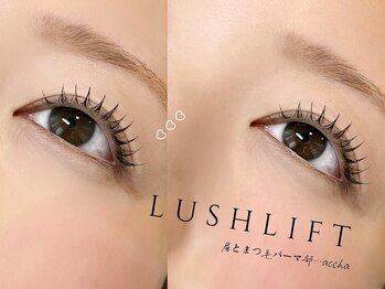 アチャ(accha)/まつ毛パーマ一重奥二重似合わせ