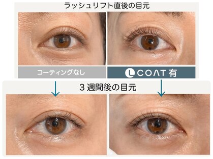 シュガー ラッシュ(Sugar lush)の写真