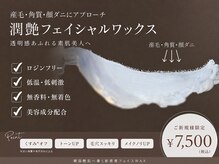 ホワイトワックス 浜松(WHITE WAX)