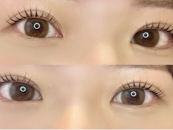 オヒメ 新宿(ohime)の写真/まつ毛パーマで目元を華やかに☆今話題の韓ドル風束感仕上げからナチュラル仕上げまでお任せください♪