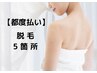女性 【都度払い脱毛】パーツ別脱毛どこでも5箇所 7480円
