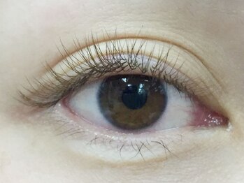 ミニョンアイラッシュデザインサロン 金剛店/Mignon's Color Collection