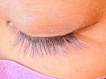 レミア 関内(REMIA)/11月 アッシュカラー