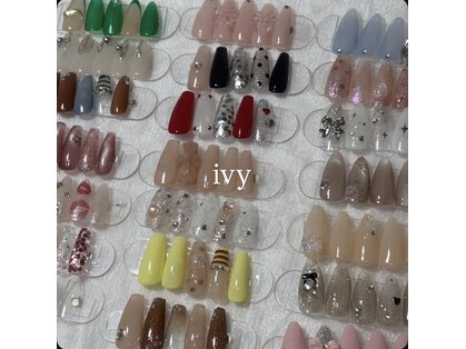 アイビー(ivy)の写真