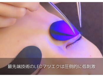 コトン 人形町(COTON)/自まつ毛改善/LEDバインドロック