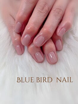 ブルーバードネイル(Blue bird nail)/ワンカラー nail