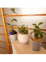 ルフト(Luft)&nbsp;矢田 裕美