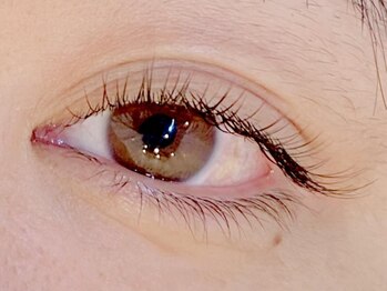 ダズル(DAZZLE)/フラットラッシュ100本