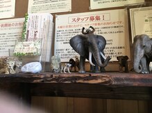 スマイル(Smile)/靴置きには