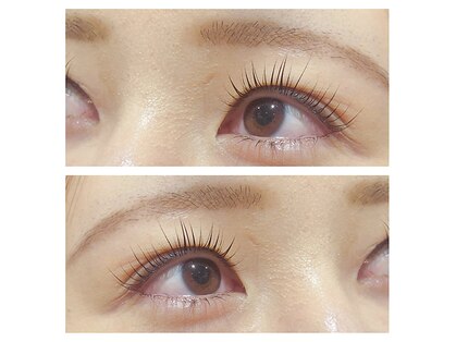 プリンプアイラッシュ(PRIMp.Eyelash)の写真