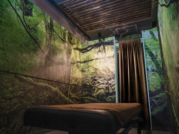 わたげのまにまに/【森の部屋】