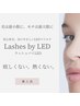 LEDマツエクフラットマットラッシュ+美眉スタイリングWAX+カラー ¥10500