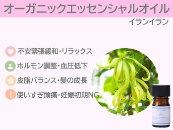 ぷるるんエステ/肩こり/リンパ/マッサージ/小顔