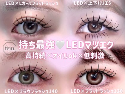 フェイン 渋谷本店(fein.)の写真