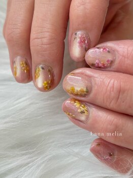 ラナメリア(Lana melia)/spring flower