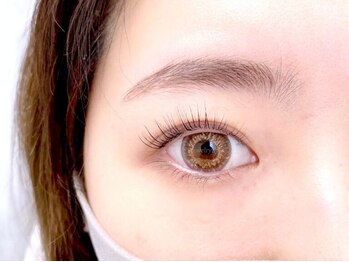 アリータ(ALITA)/フラットラッシュ120本