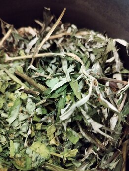 フームー シム(fuumuu Shim)/