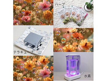 ヨサパーク ホロムア 梅屋敷(YOSA PARK Holomua)