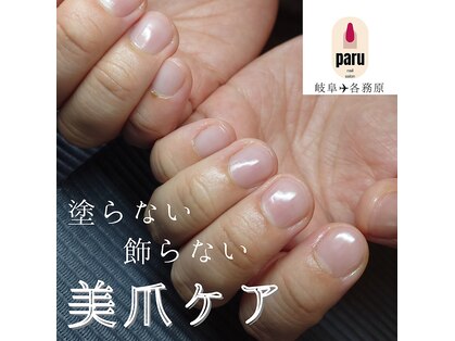 パル(paru)の写真
