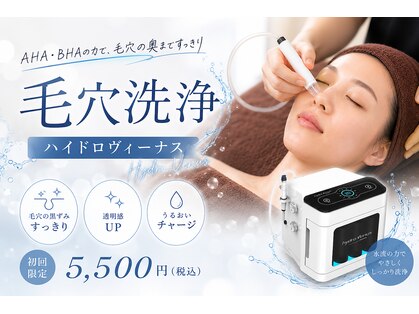 トウキ(touki)の写真