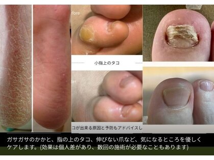 ぱれっとの写真