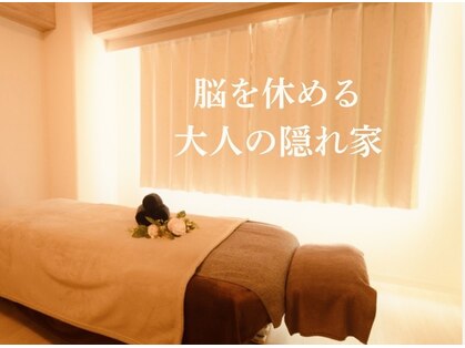 コアラの写真