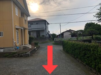 フシュリカ(Fushlica)/サロン道案内(お店側から撮影)