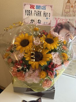 ヨサパーク ハロ(YOSA PARK Haro)/