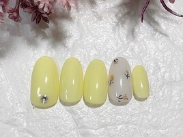 定額simple チューリップ