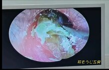 耳そうじ工房 小田原店