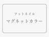 【フットネイル】マグネットカラー
