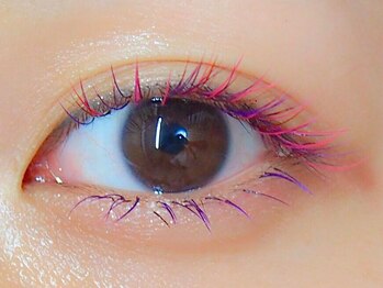 ミニョンアイラッシュデザインサロン 金剛店/Mignon's Color Collection