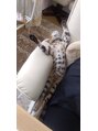 ネイルサロン アール(Nailsalon R)&nbsp;お客さんの横でrelaxしすぎなココチャン笑