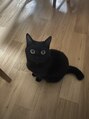 コア(Koa) 天使すぎる黒猫飼ってます★