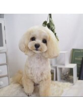 アンジェーム(angeame)/わんちゃん同伴OK