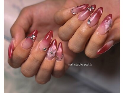 パル(pael)の写真