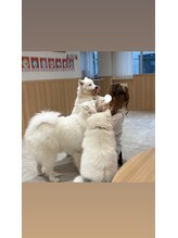 ピュアホワイトニング 横浜店 ゆな