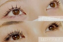 ラ シェリー(La cherie)