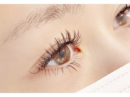 アイ シャイン(eye shine)の写真