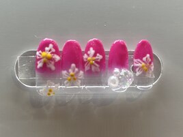 ハイビスカス★カラグラ