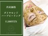 【再来】ダイヤモンドハーブピーリング ￥12,800→¥11,800 [ニキビケア/毛穴]