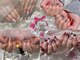 マシェリローズ(Macherie Rose)の写真