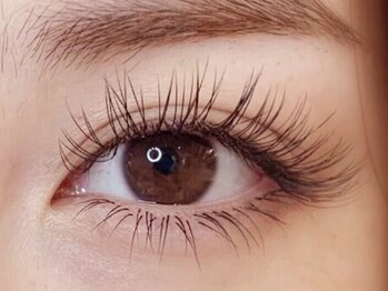 スターラッシュ(Star Lash)/アイラッシュデザイン