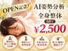 【【事前予約限定8/5~8/11】AI診断、肩こり、フルコース整体¥13,200→¥2,500